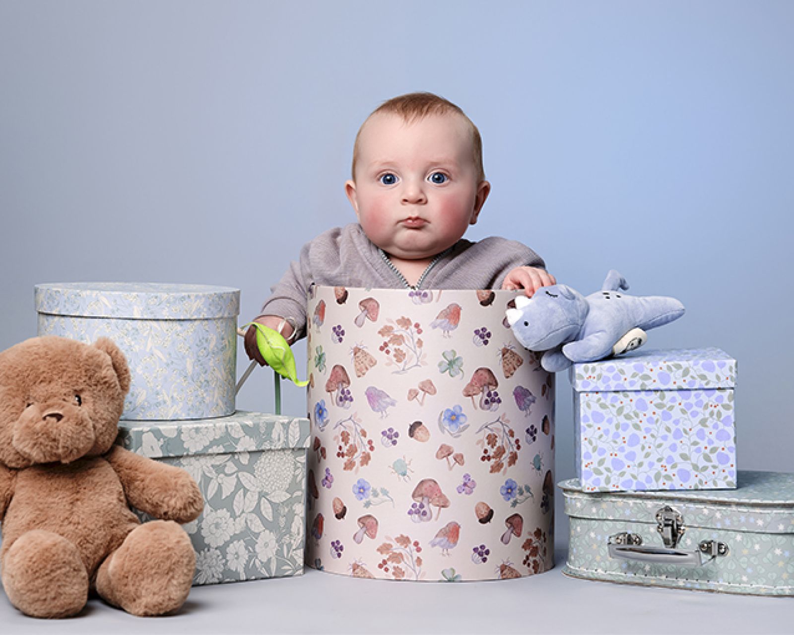 Concours bébé 2025