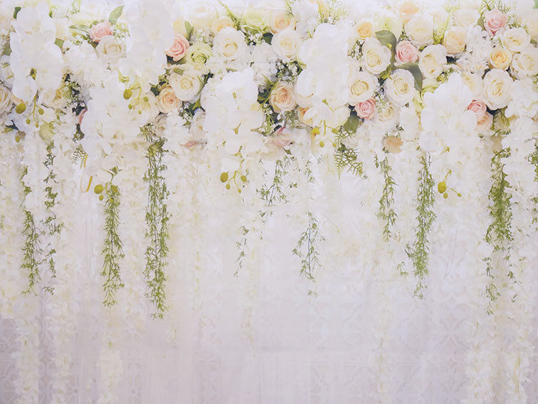 Location de fond Fine Art pour photobooth