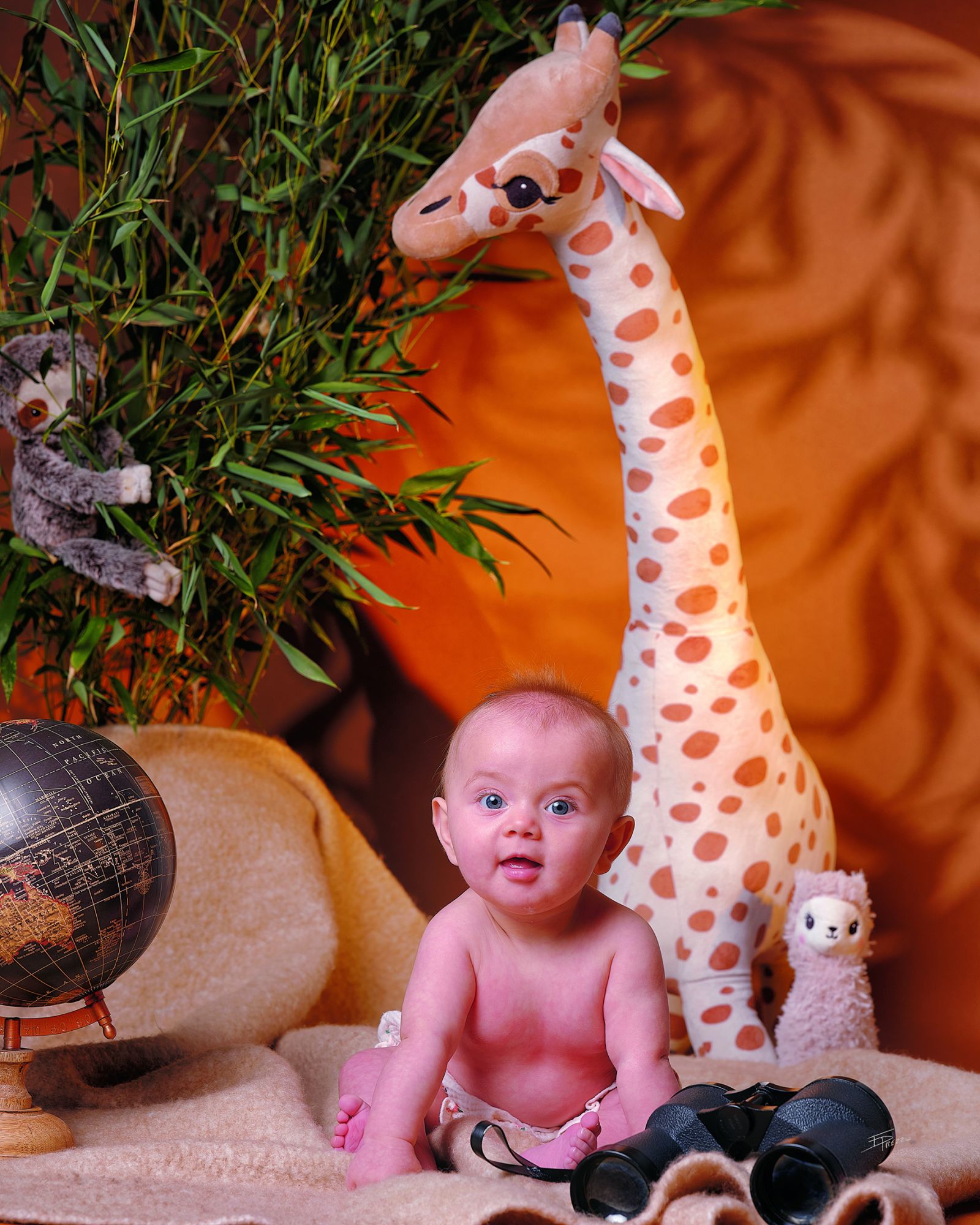 Concours bébé 2025